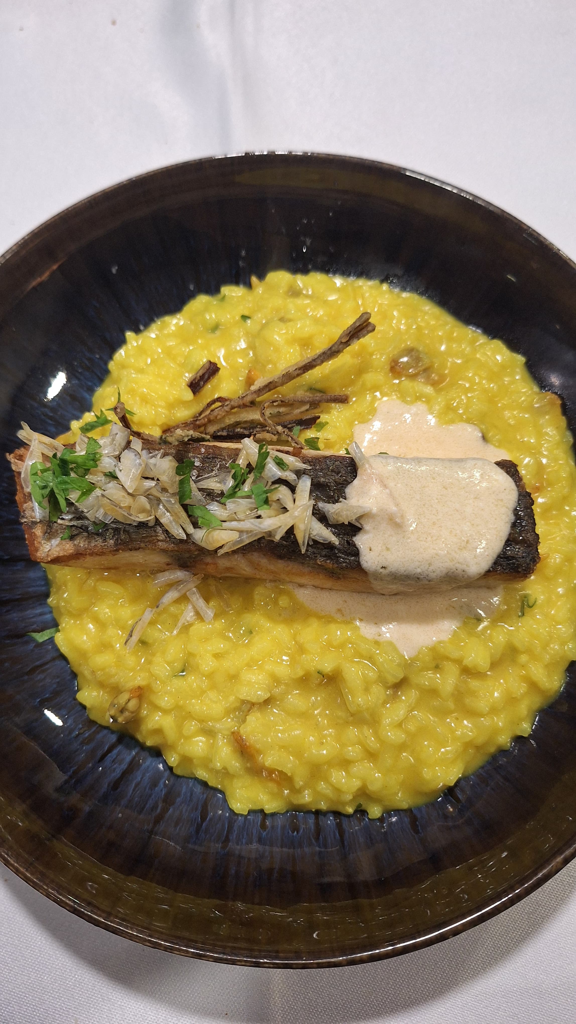 Corvina